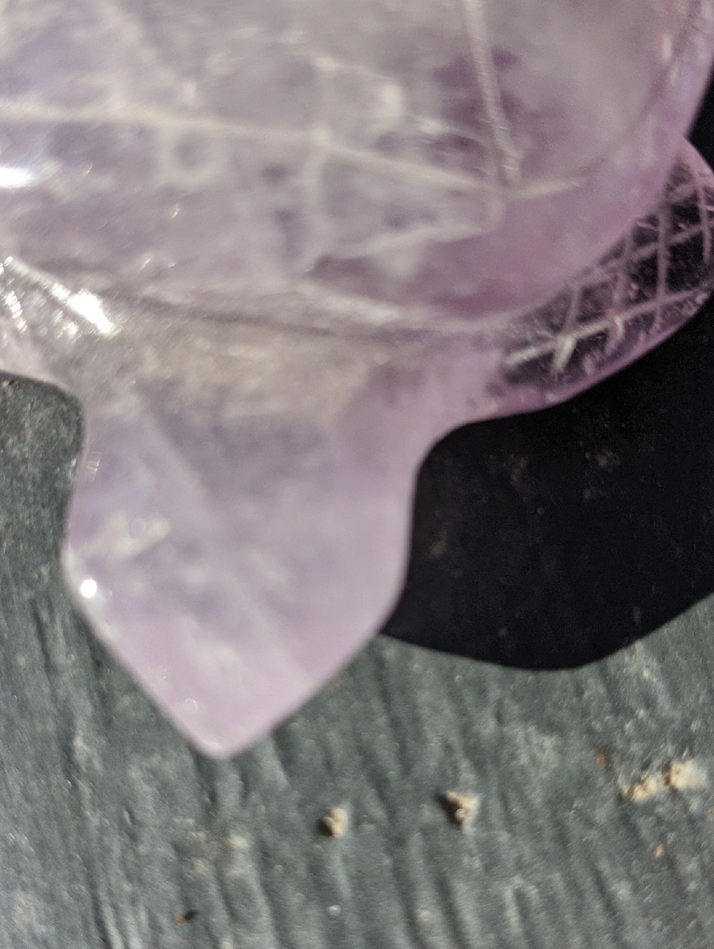 Amethyst Cloud Turtle - Picture 2 of 3